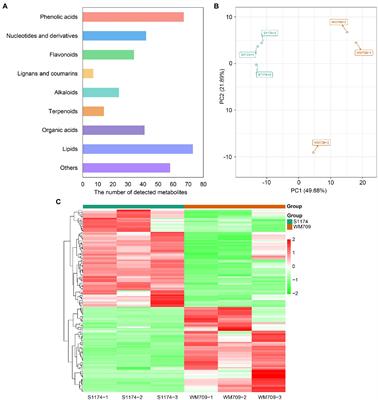 Metabolome and Transcriptome Analyses of Cucurbitacin Biosynthesis in Luffa (Luffa acutangula)